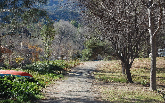 DSC 0172
