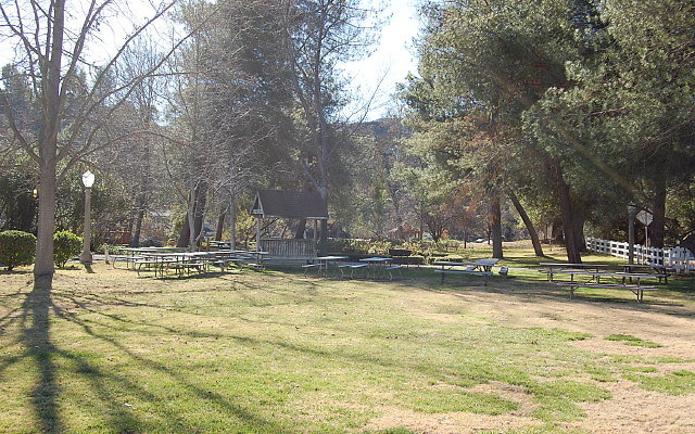 DSC 0211