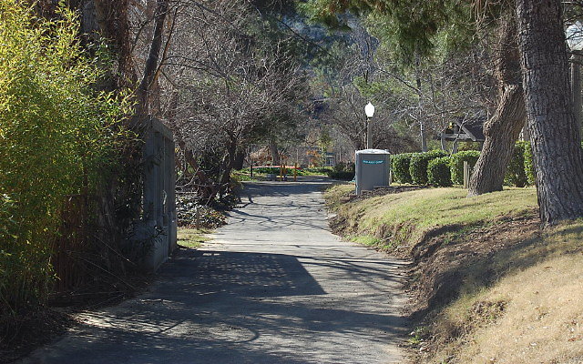 DSC 0162