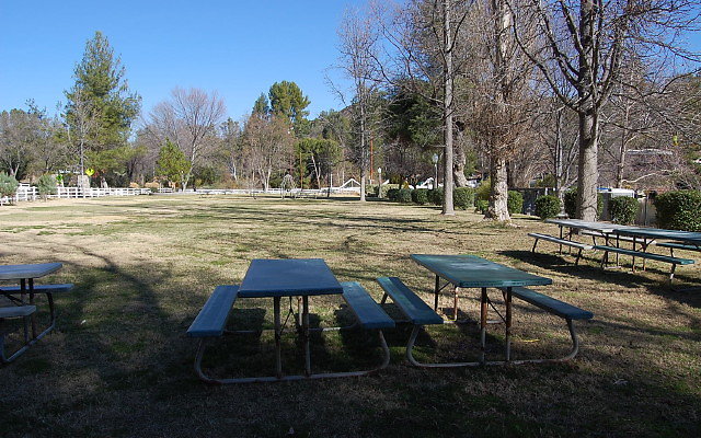 DSC 0195