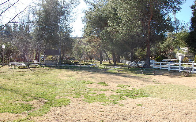DSC 0209