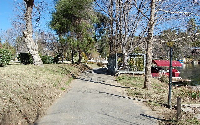 DSC 0165