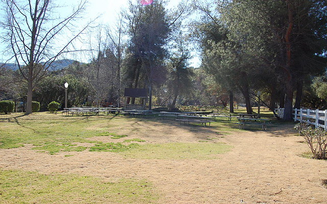 DSC 0206