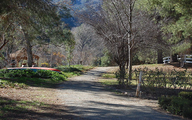 DSC 0167