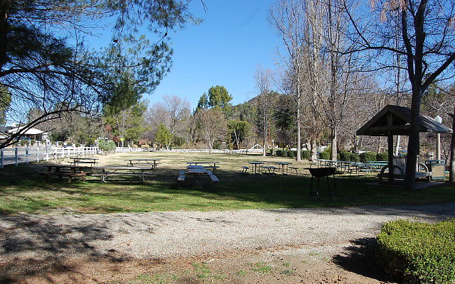 DSC 0190
