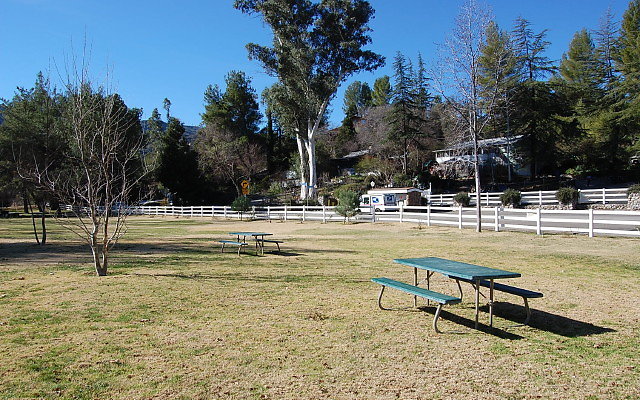 DSC 0007