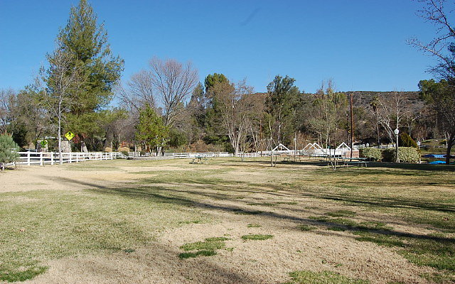 DSC 0208