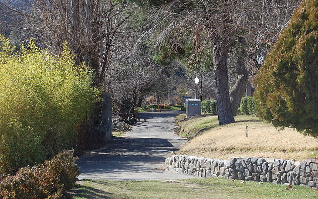 DSC 0011