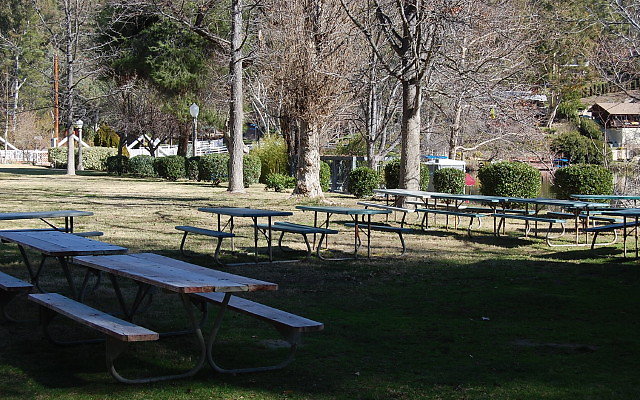 DSC 0192