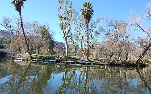 DSC 0021