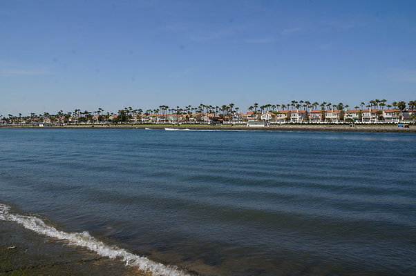 DSC04599