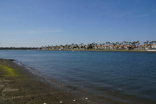 DSC04603