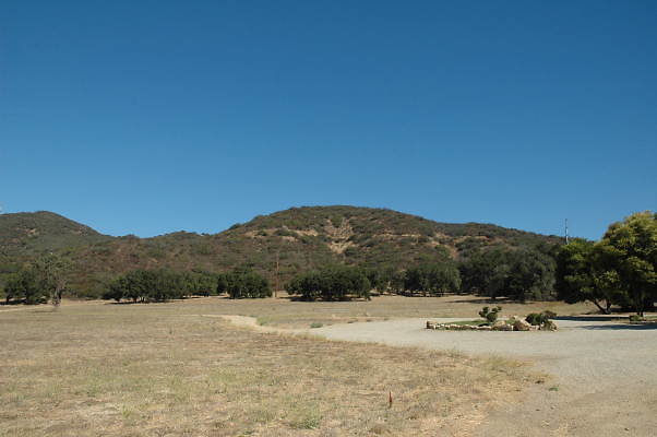 DSC 0100