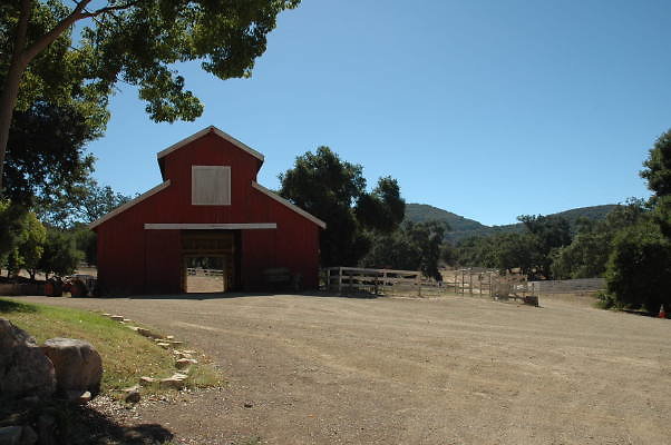 DSC 0117