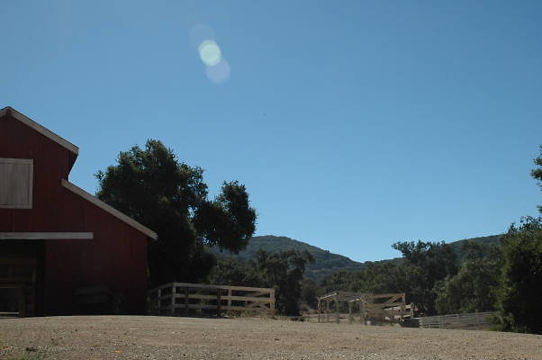 DSC 0124