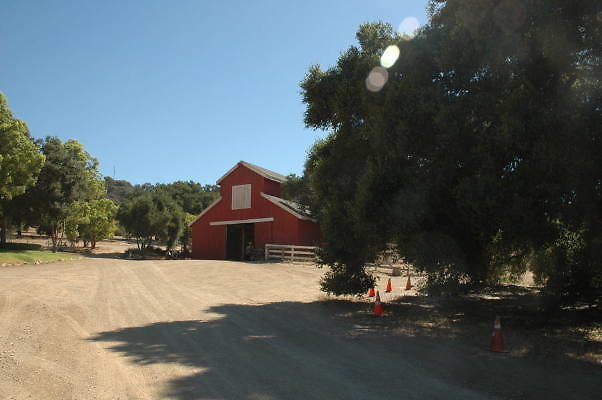DSC 0102