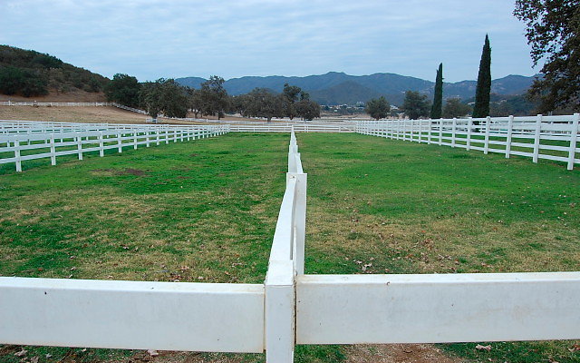 DSC 0138a