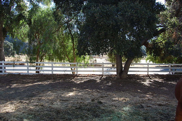 DSC 0108