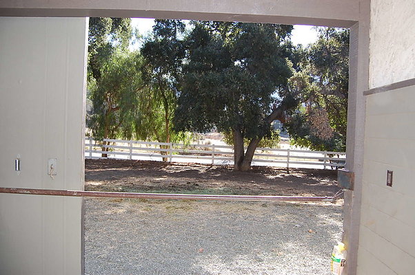 DSC 0117