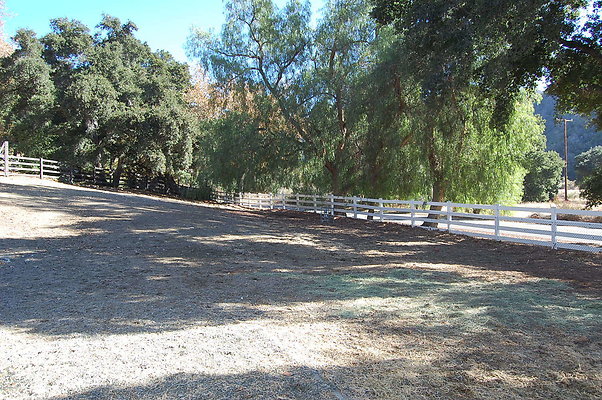 DSC 0107