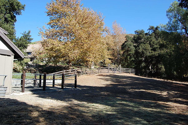 DSC 0102