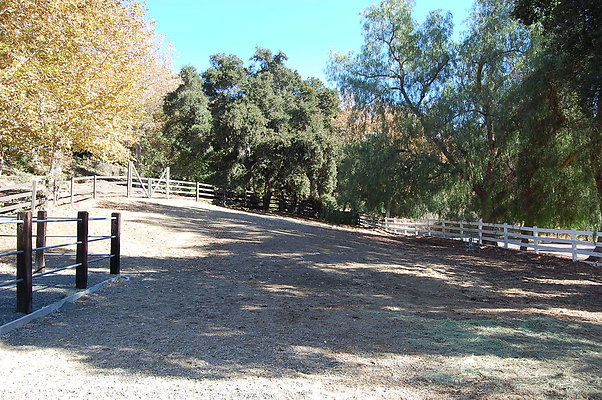 DSC 0110