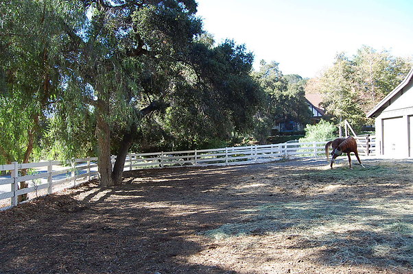 DSC 0114