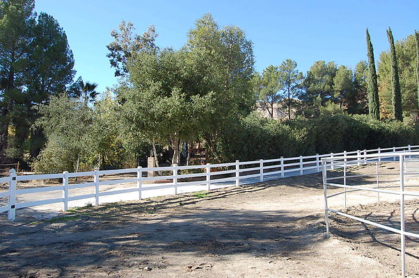 DSC 0094