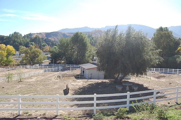 DSC 0066