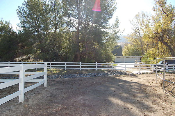 DSC 0091