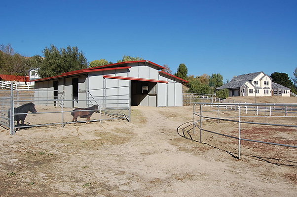 DSC 0081