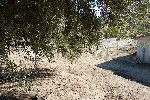 DSC 0068