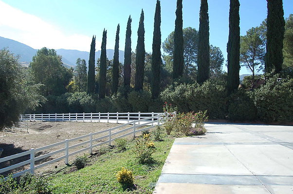 DSC 0067