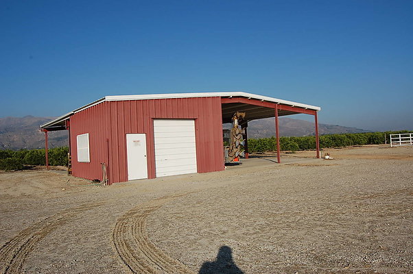 DSC 0223