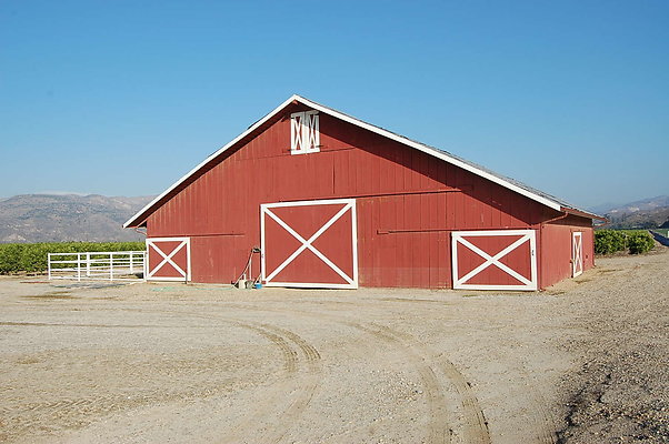 DSC 0225
