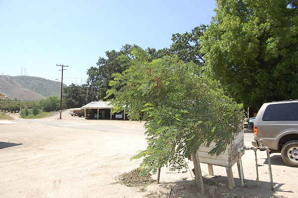 DSC 0143