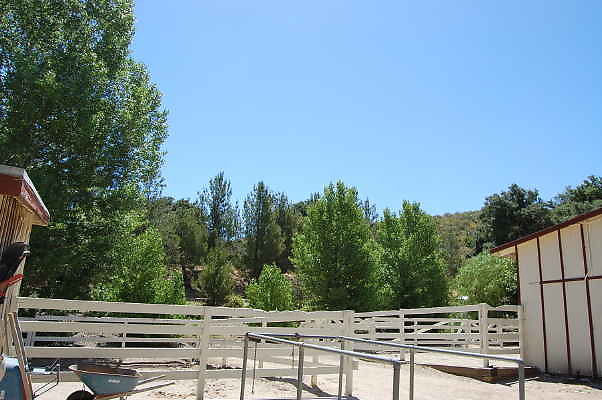 DSC 0008