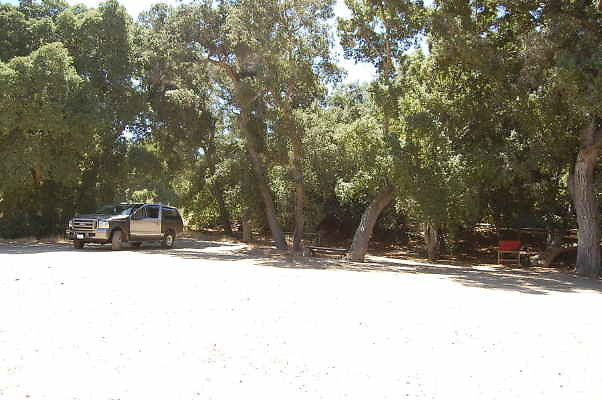 DSC 0053