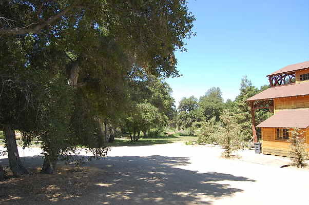 DSC 0049