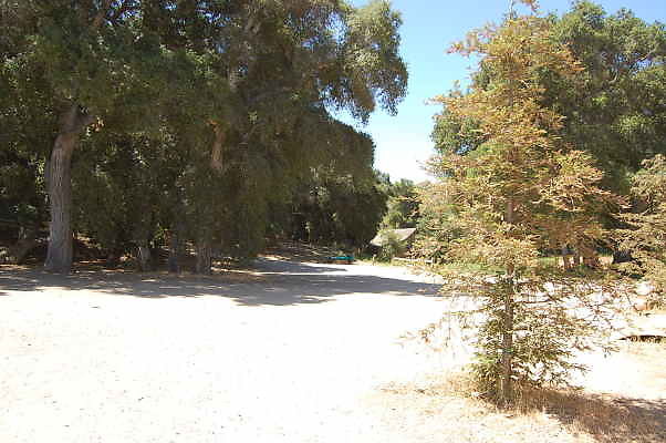 DSC 0054
