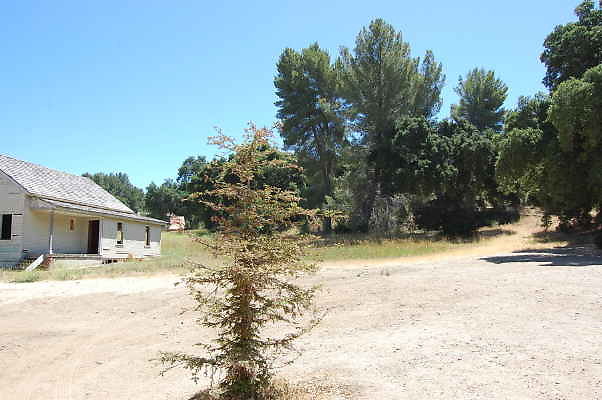 DSC 0052