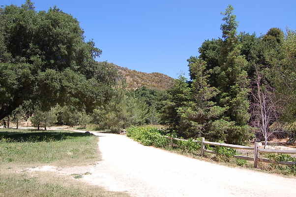 DSC 0075