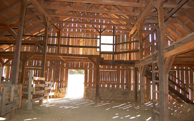 DSC 0031