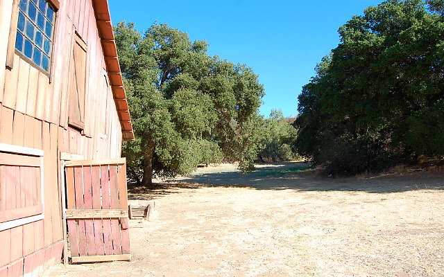 DSC 0049