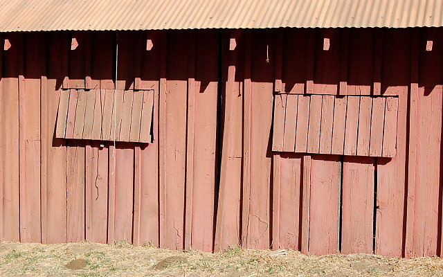 DSC 0024