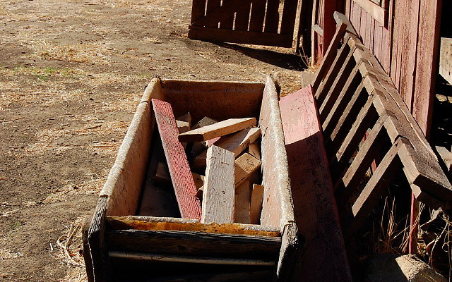 DSC 0023b