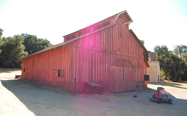 DSC 0008