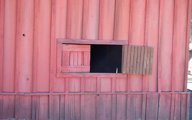 DSC 0008a