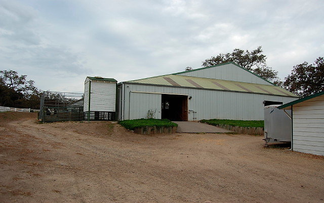 DSC 0208