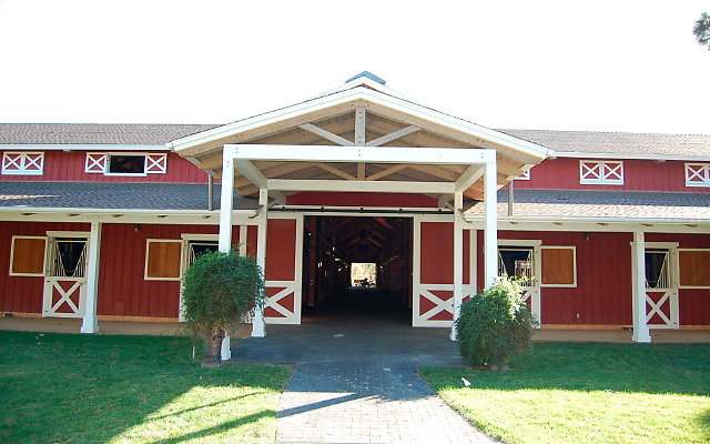 DSC 0181